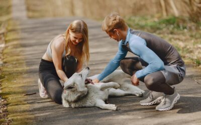 The Rise of Athleisure: Where Fitness Meets Everyday Fashion